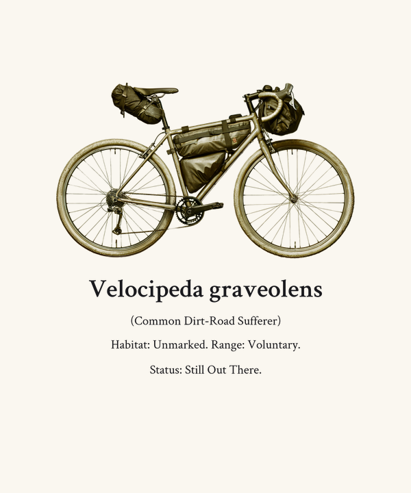 Gravel Bike Natural History Taxonomy Print