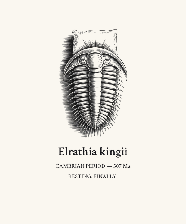 Trilobite Dark Cute Fossil Shirt